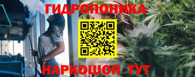 ECSTASY Кулебаки