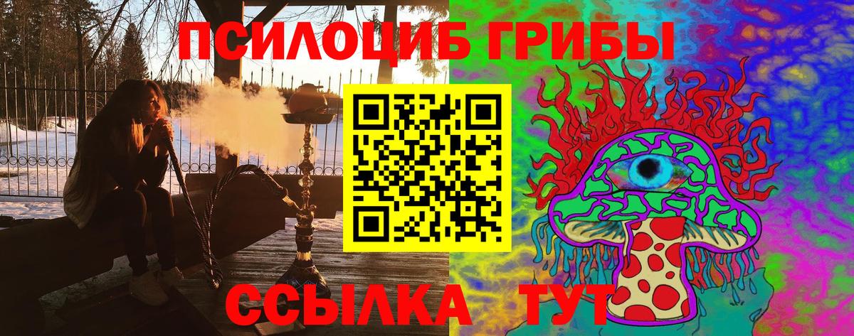 Псилоцибиновые грибы мухоморы Кандалакша