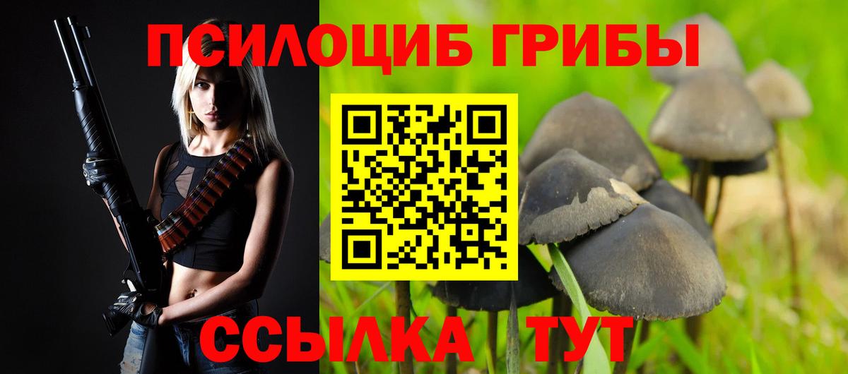 как найти наркотики  Псилоцибиновые грибы ЛСД  Вход с VPN  Кандалакша 